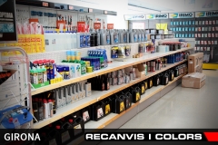 Recanvis i Colors 6